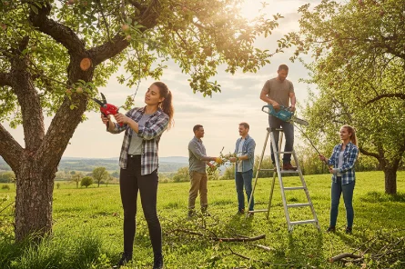 ۷ نکته کلیدی برای افزایش باردهی و سلامت باغ