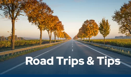 ۱۰ نکته مهم برای سفرهای جادهای ایمن و بیدردسر