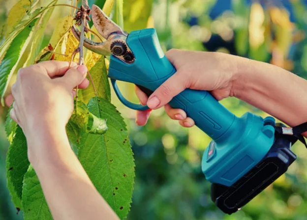 راهنمای خرید قیچی شارژی باغبانی
