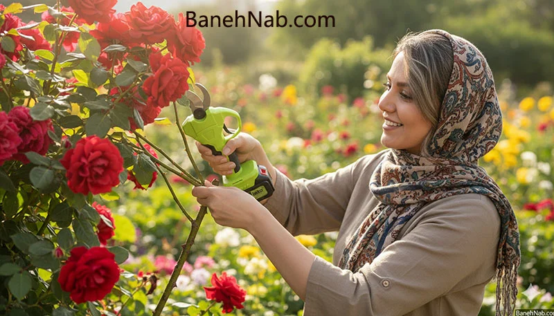 نحوه استفاده از قیچی باغبانی شارژی