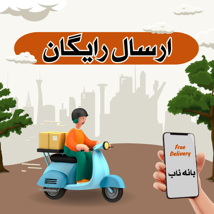 ارسال رایگان