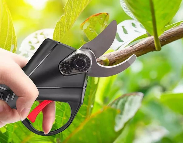 قیمت و خرید قیچی باغبانی شارژی